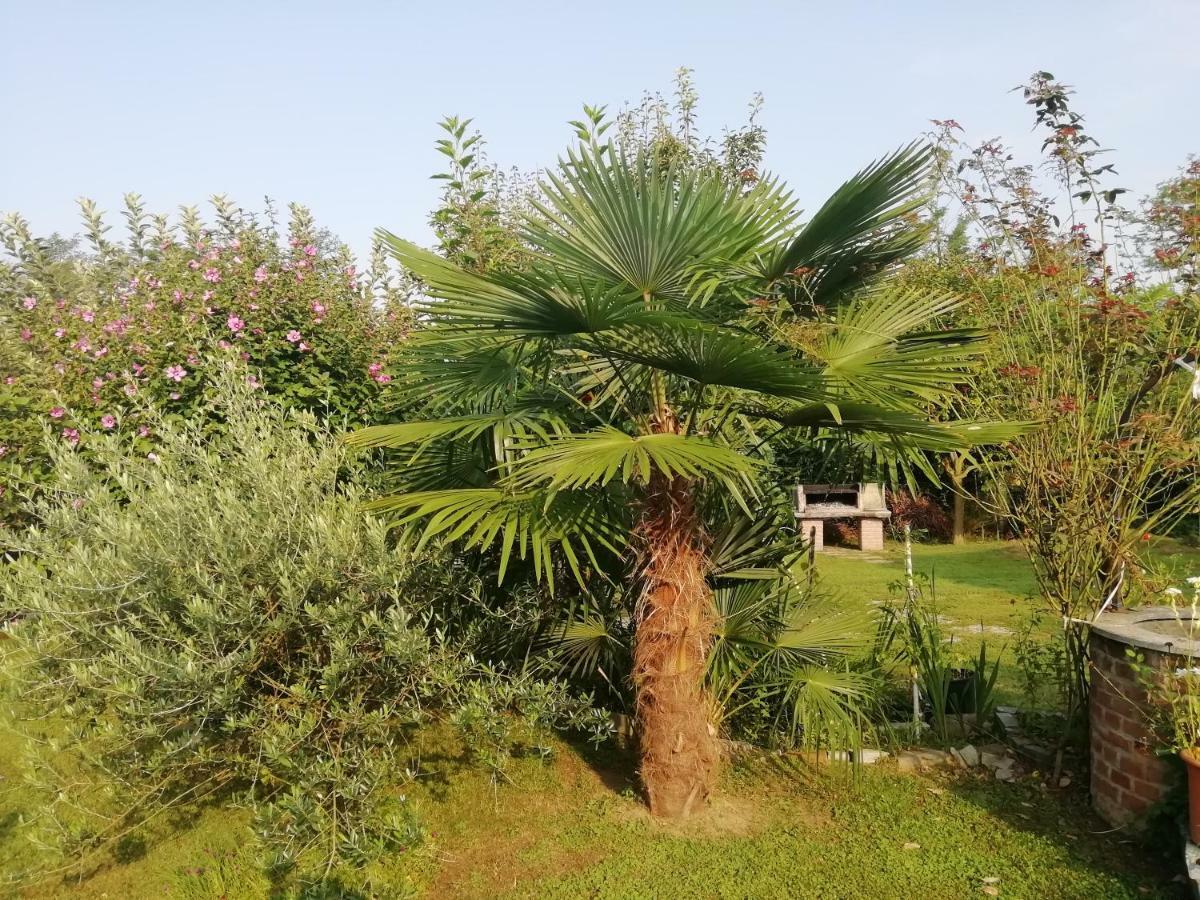 Apartamento Un Bell Incontro Borgo Ticino Exterior foto
